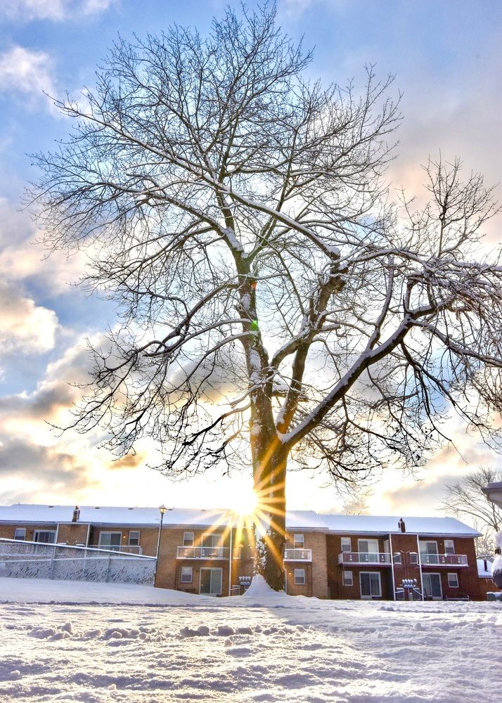 Photograph by Gargee Chowdhury