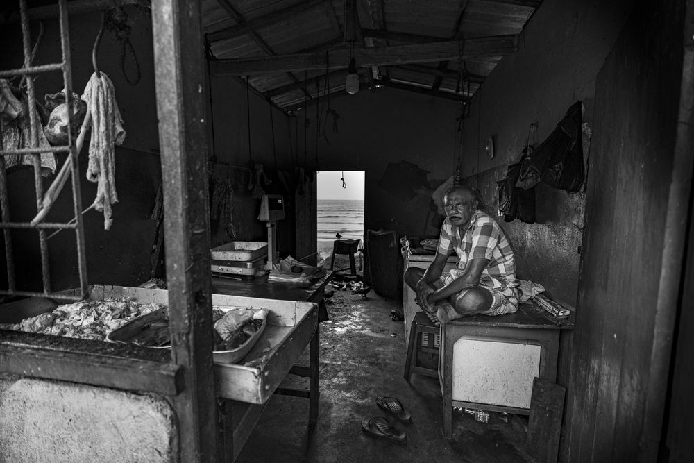 Photograph by pouyan safavi