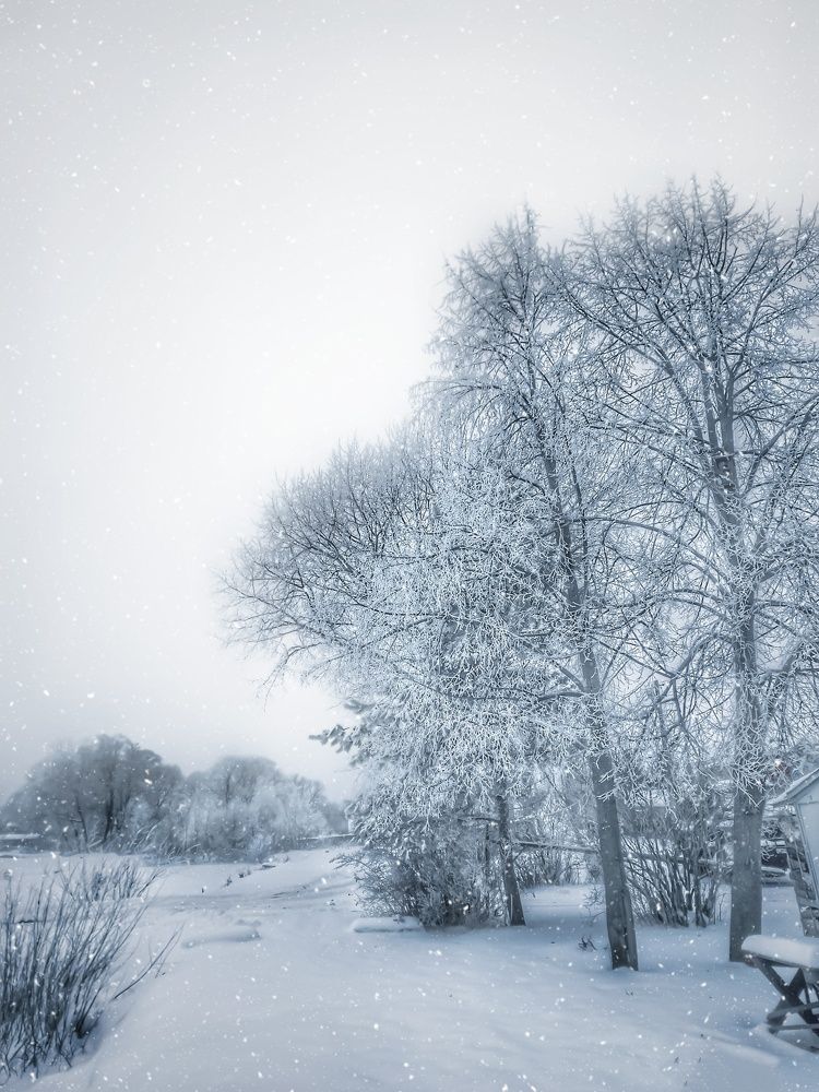 Photograph by Ольга