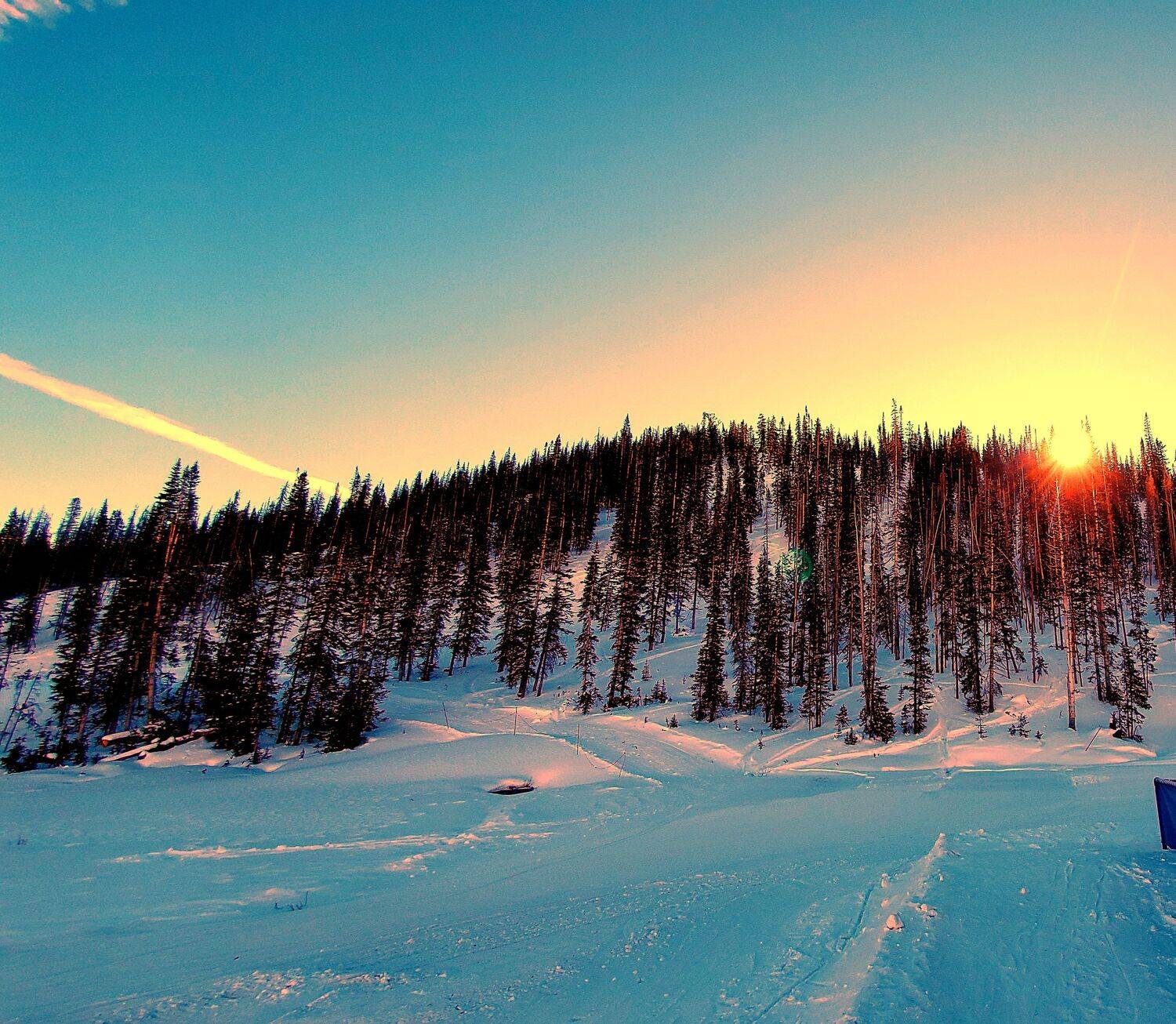 Photo #6971747