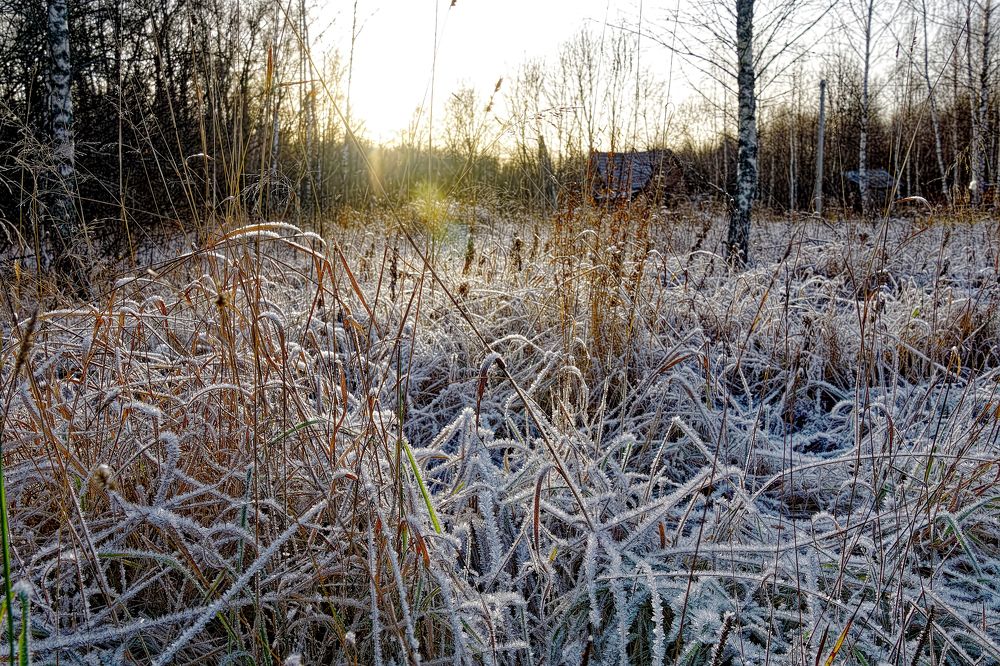 Photograph by Oleg Kuzovlev