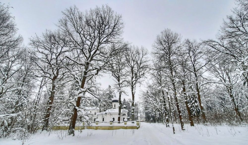 Photograph by Василий Фроленок