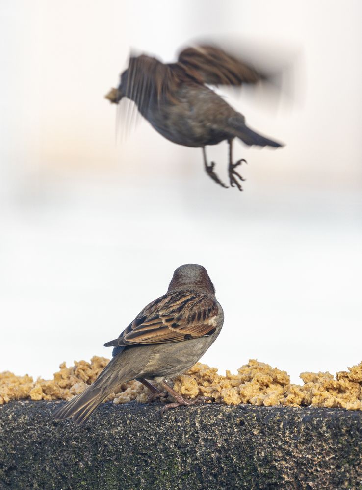 Photograph by David Bueno