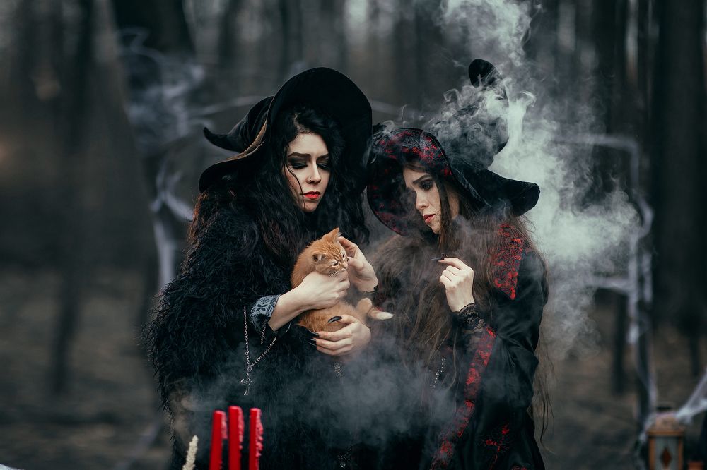 Фотография автора Алина Иванова