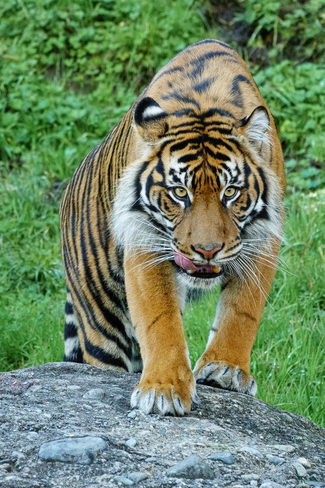 Фотография автора Михаил Боряк