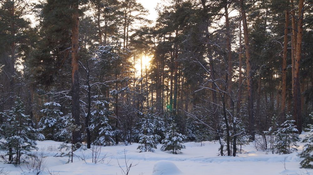 Photograph by Алексей Тропин