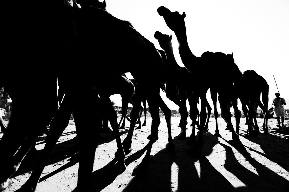 Photograph by Divya Varde