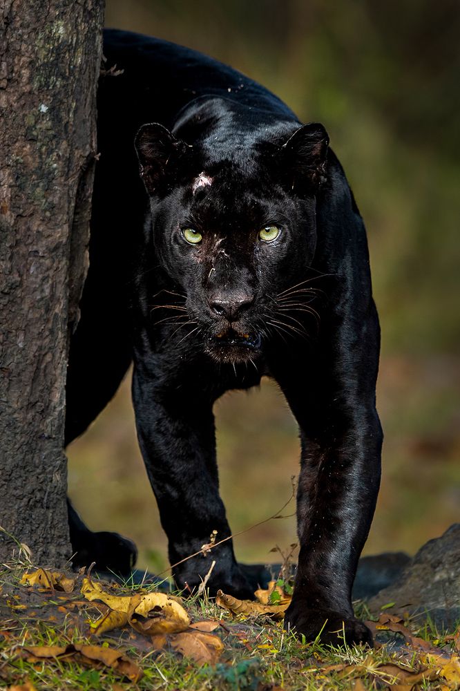 Photograph by Sarang Mhaskar