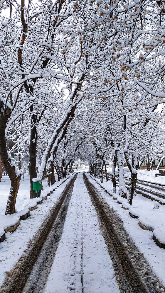 Photograph by Mohammad Delpak