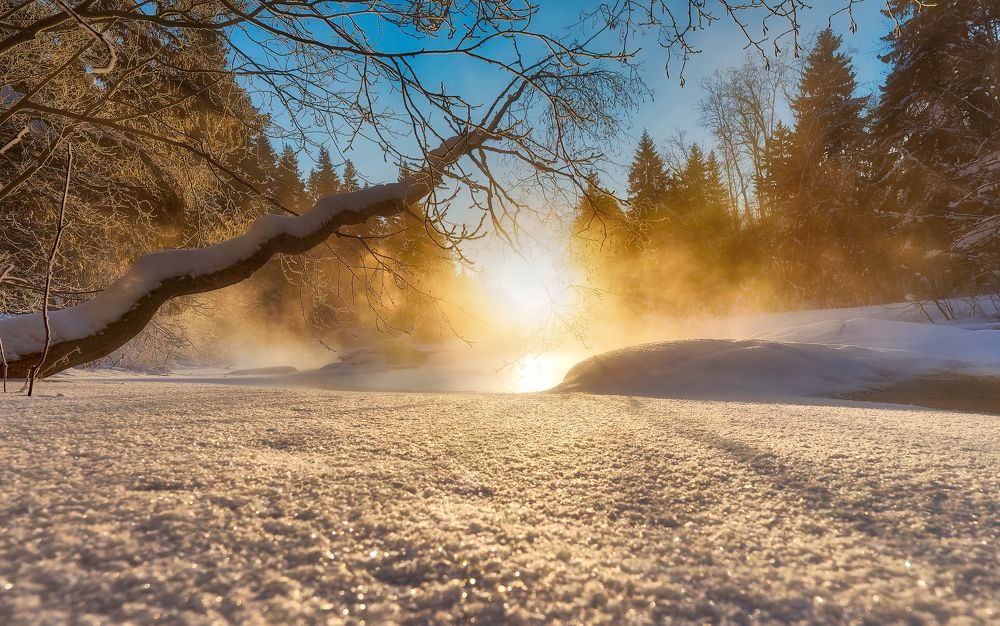 Photograph by Алексей Долженко