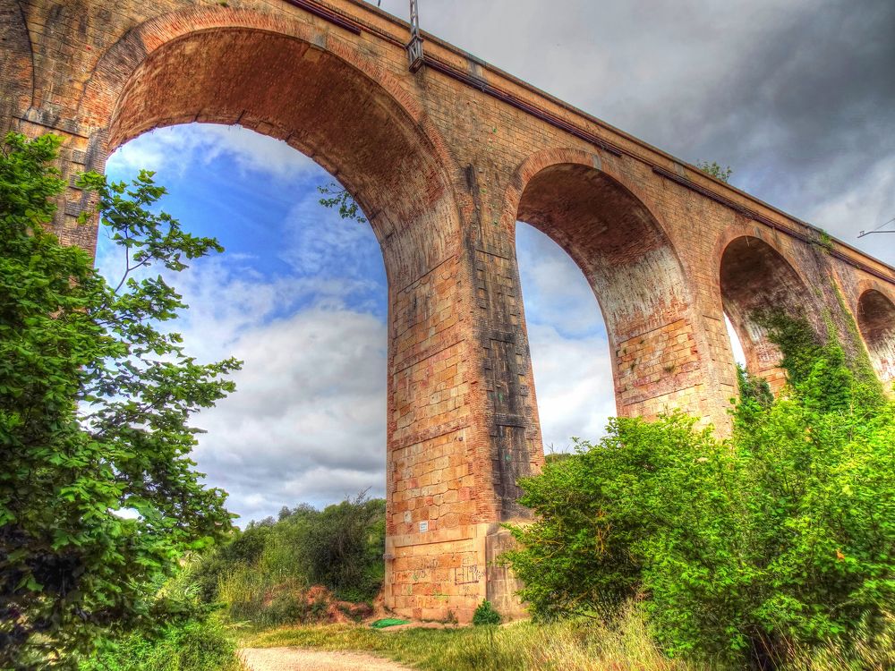 Photograph by Josep M. Bove Veciana