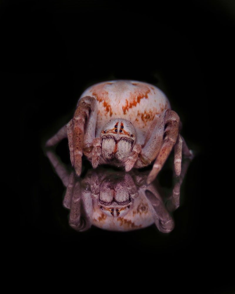 Photograph by Amin Ghaffarian