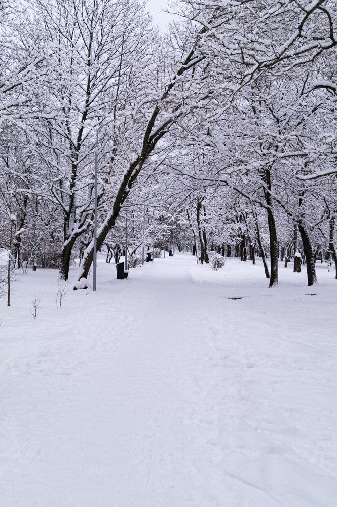 Photograph by Vlad Proshin