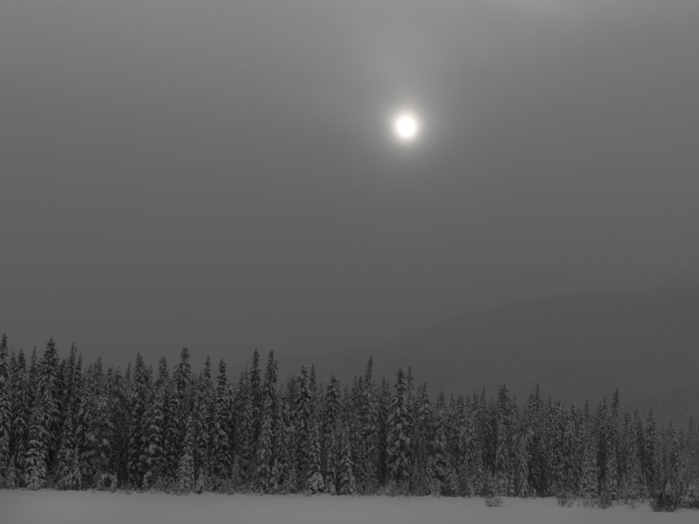 Photograph by Валерий Егоров