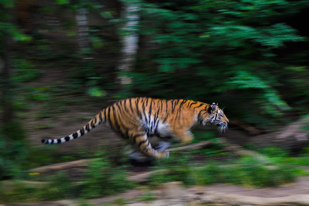 Photograph by Олег Смирнов