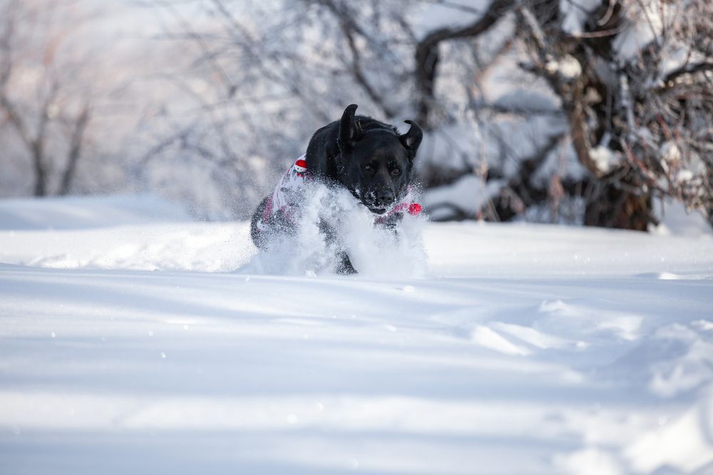 Photograph by Алексей Миронов