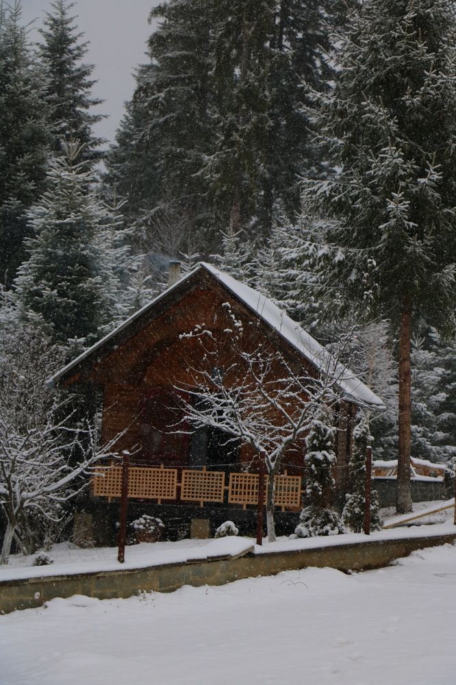 Photograph by Maria Golovach