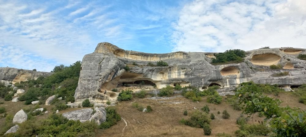 Пещерный слон
