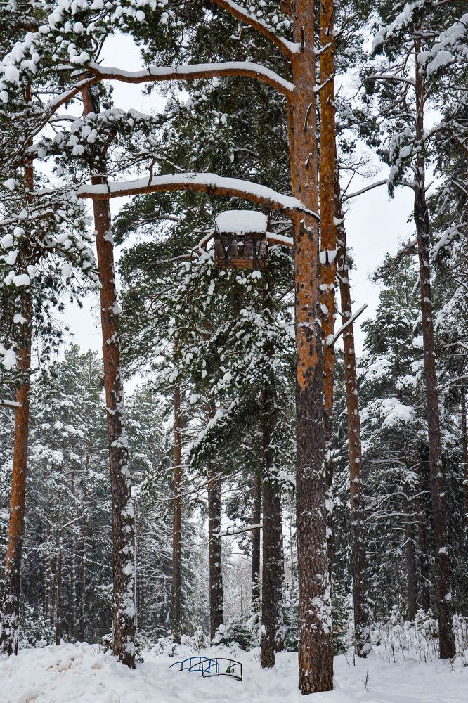 Photograph by Irina Rudneva