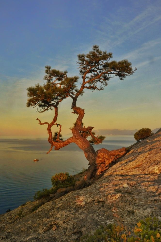 Photograph by Сергей Жигульский