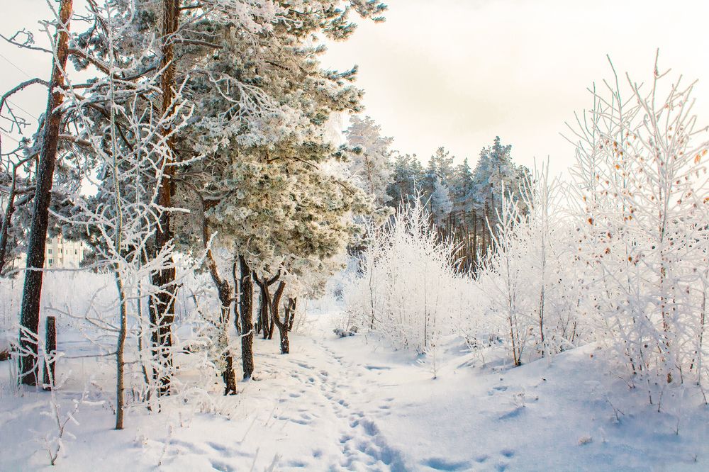 Photograph by Дмитрий Тимин