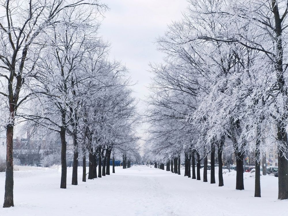 Photograph by Дарья