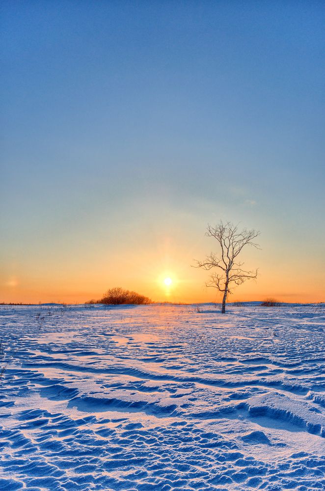 Photograph by Александр Корчагин