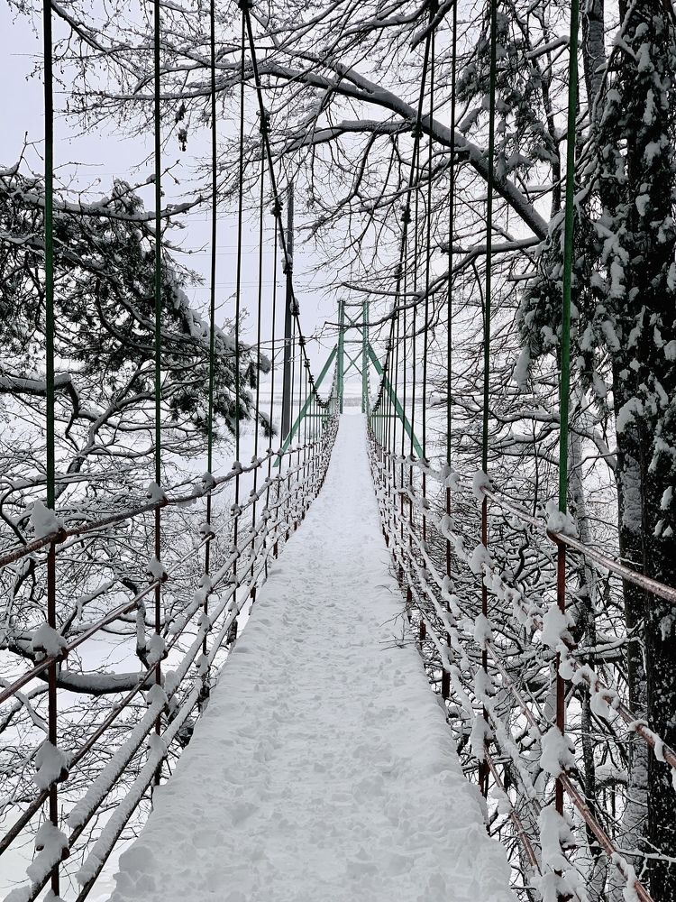 Photograph by Алена Устинович