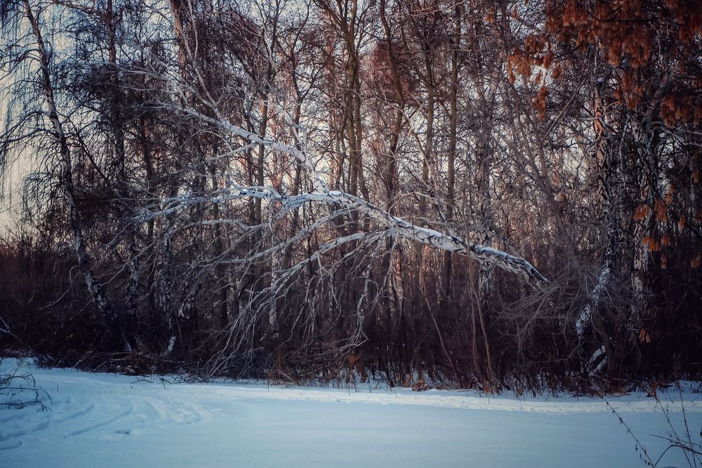 Photograph by Артем Гельм