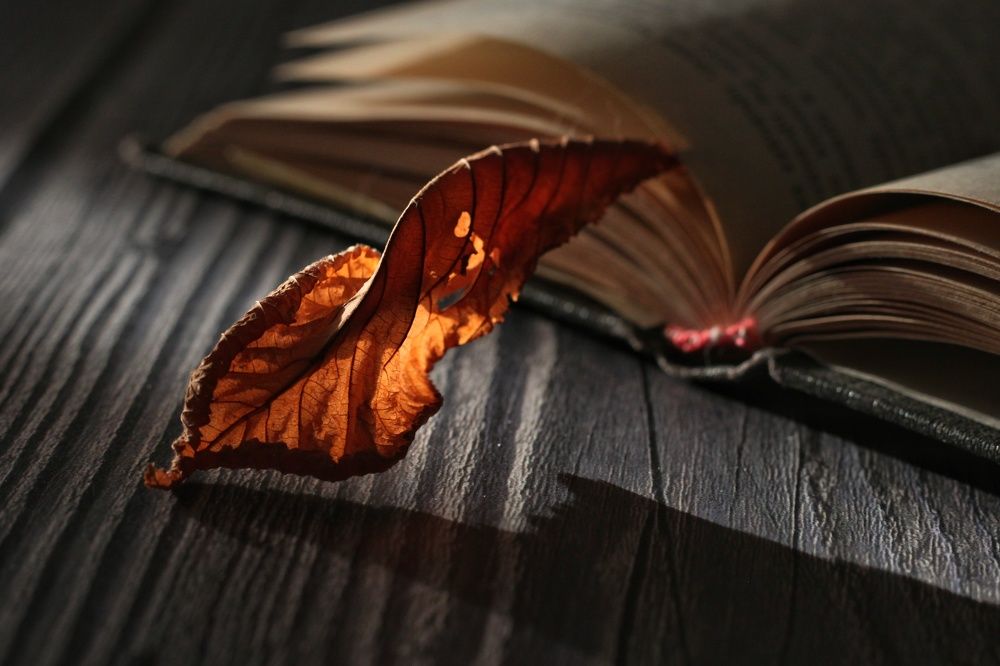 Photograph by Анжелика Медведева