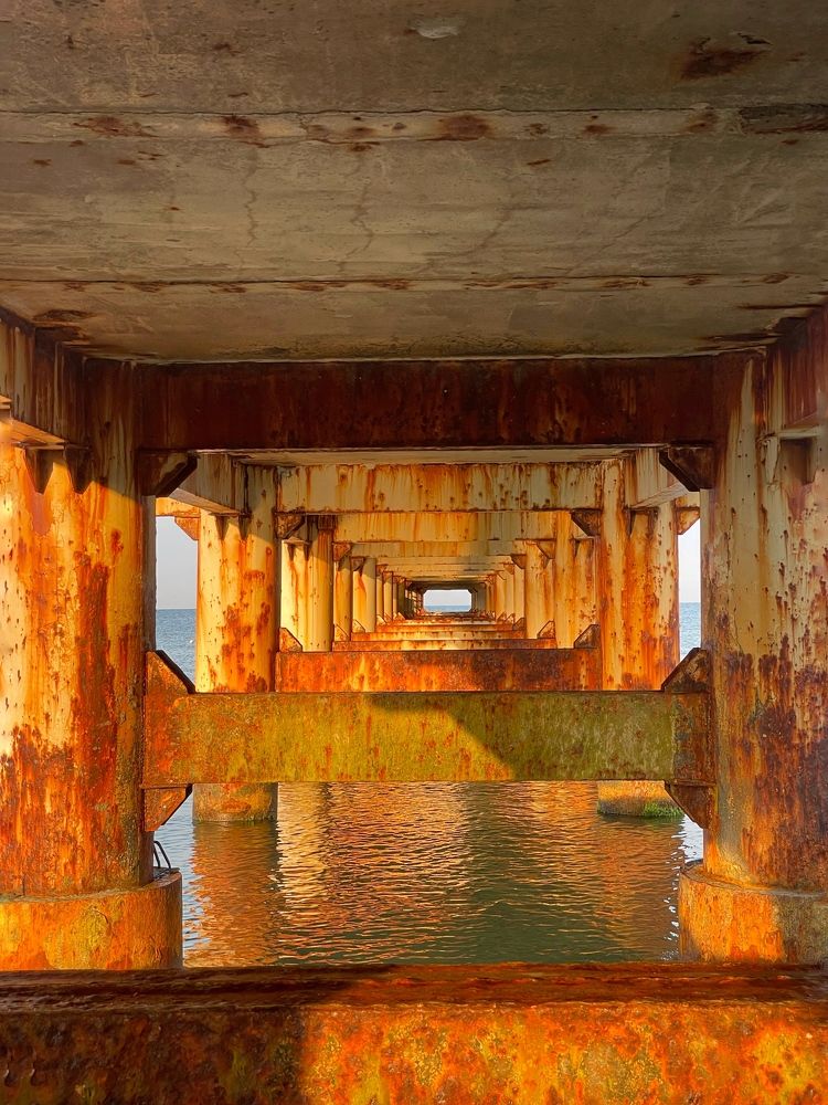 Photograph by Елена Горбунова