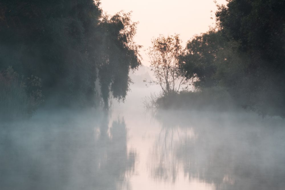 Фотография автора Андрей Врубель