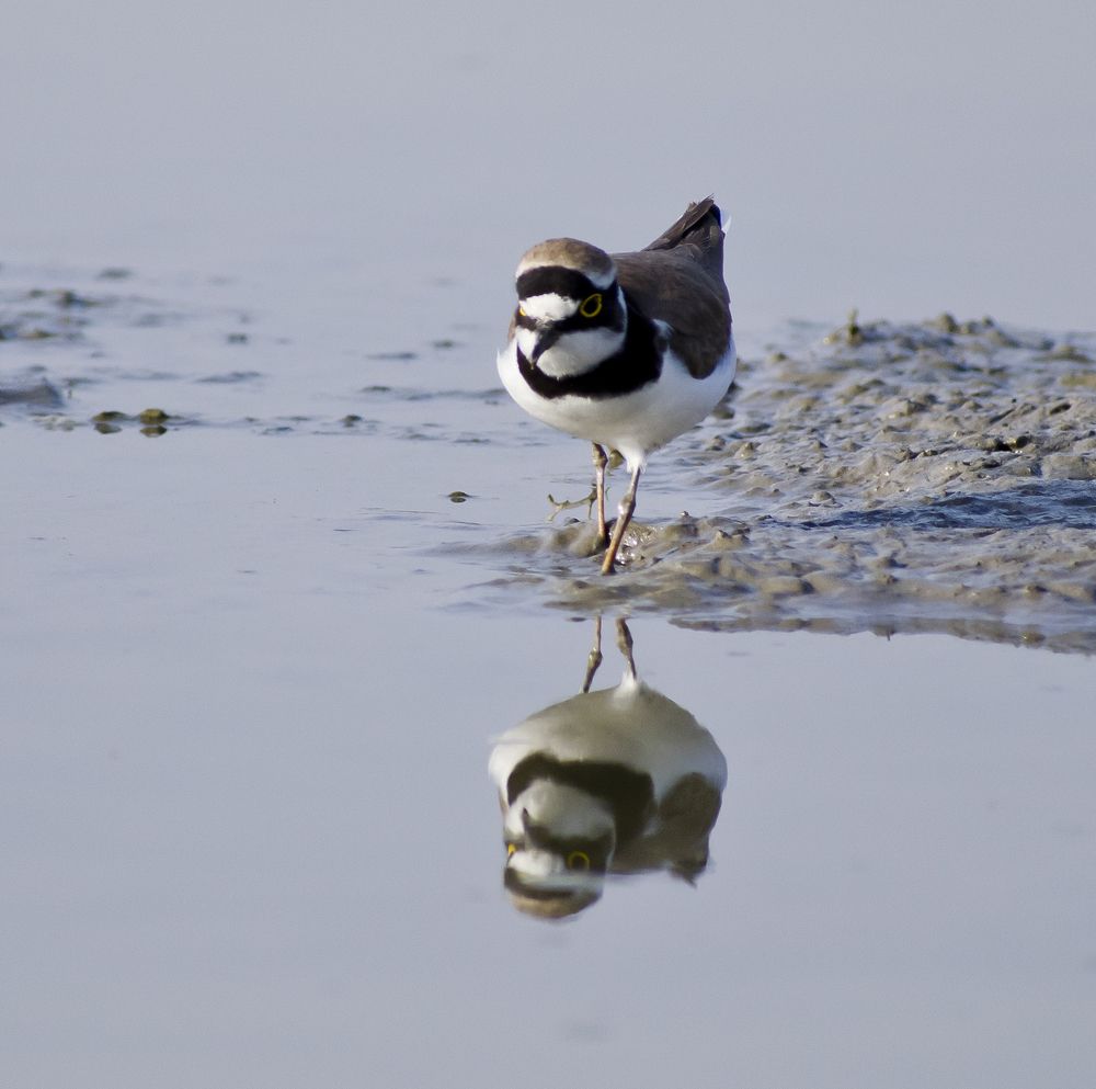 Photograph by Sourav Paul