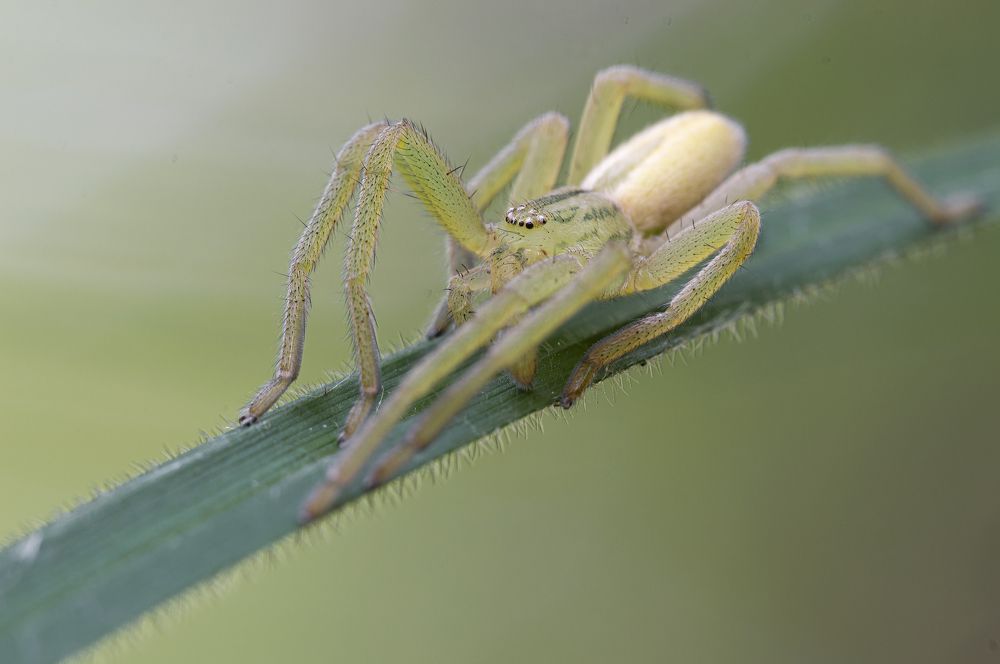 Photograph by Юрій Стороженко