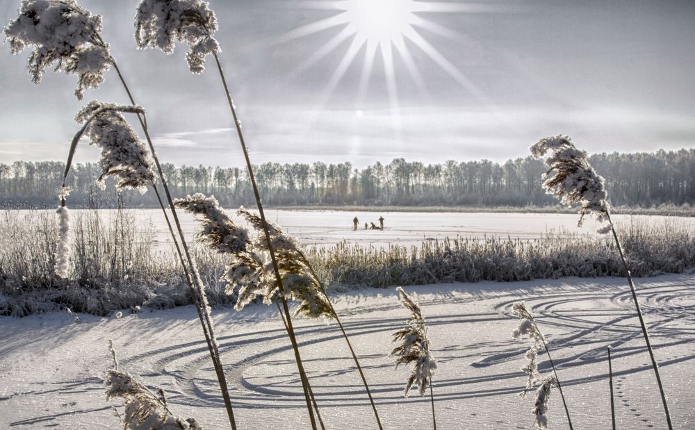 Photograph by Вера Лопатина