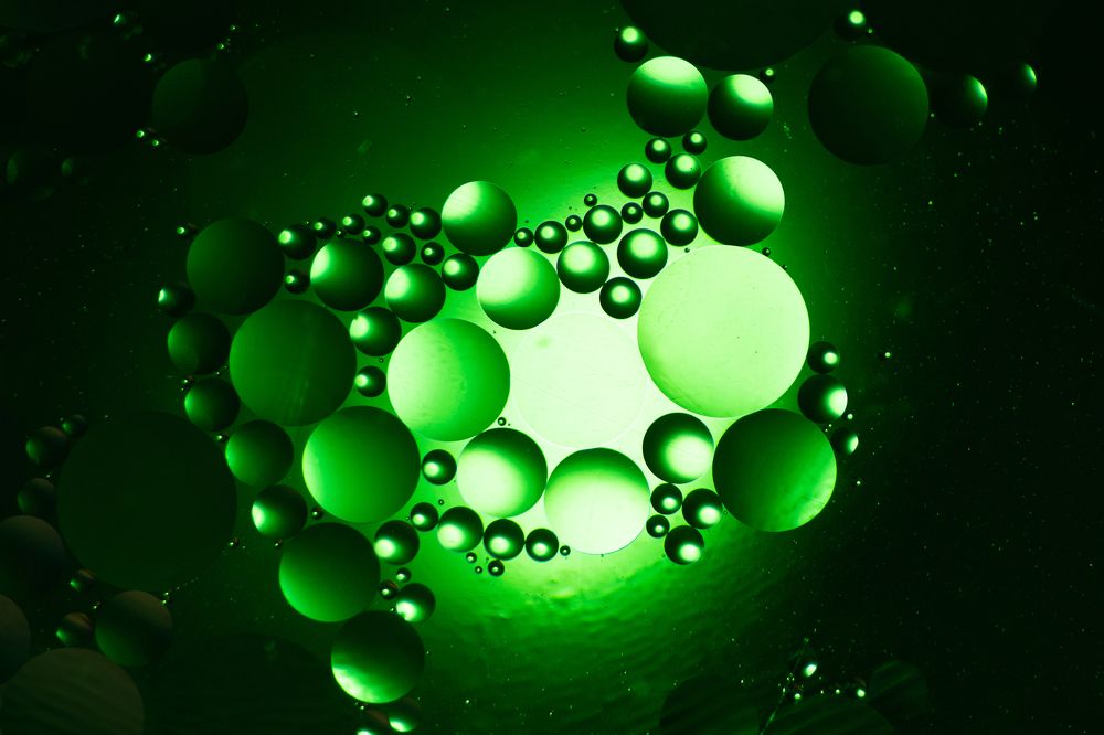 Photograph by Анна Рябцева