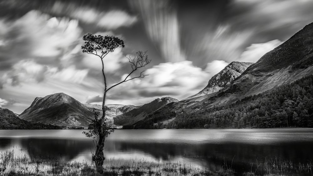 Photograph by Selaru Ovidiu