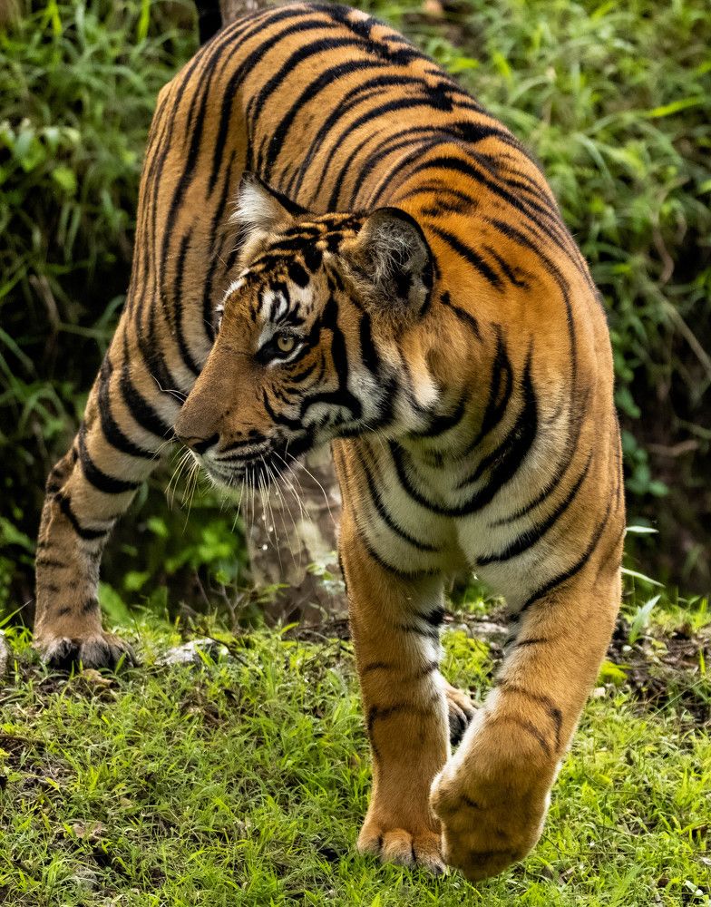 Фотография автора PriyaRajendran