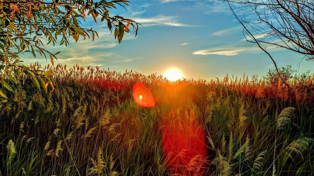 Photograph by Дмитрий Унагаев
