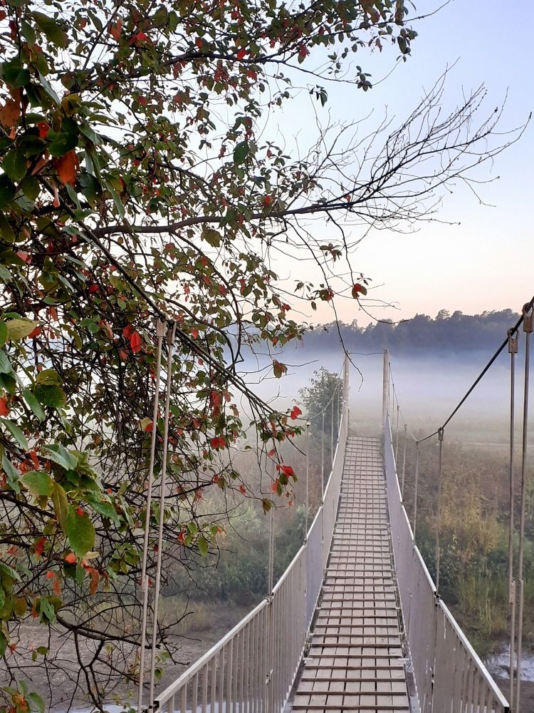 Photograph by Ирина Пичугина