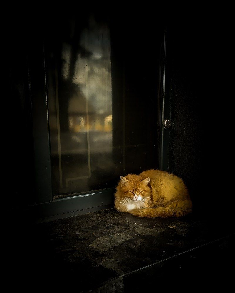 Photograph by Marina