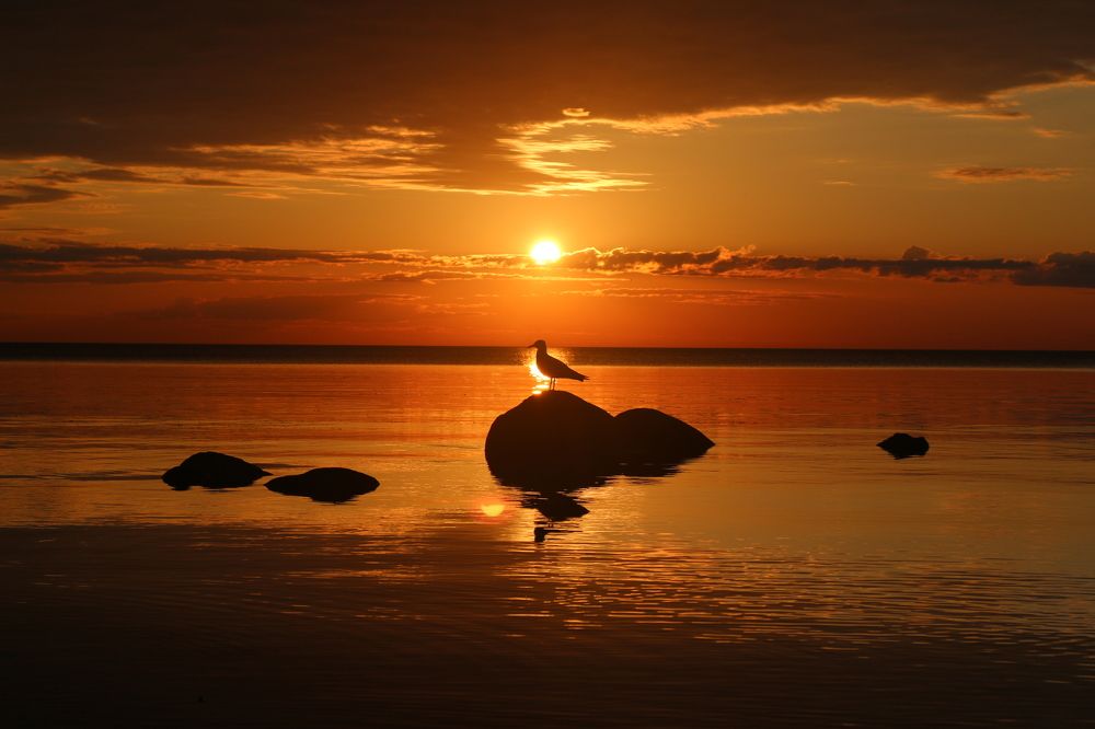 Photograph by Alecsandr Sarbaev