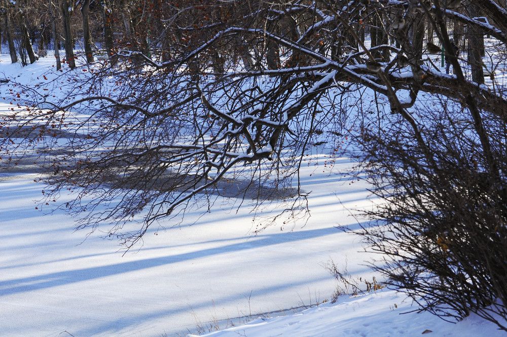 Photograph by Наталия Акимова