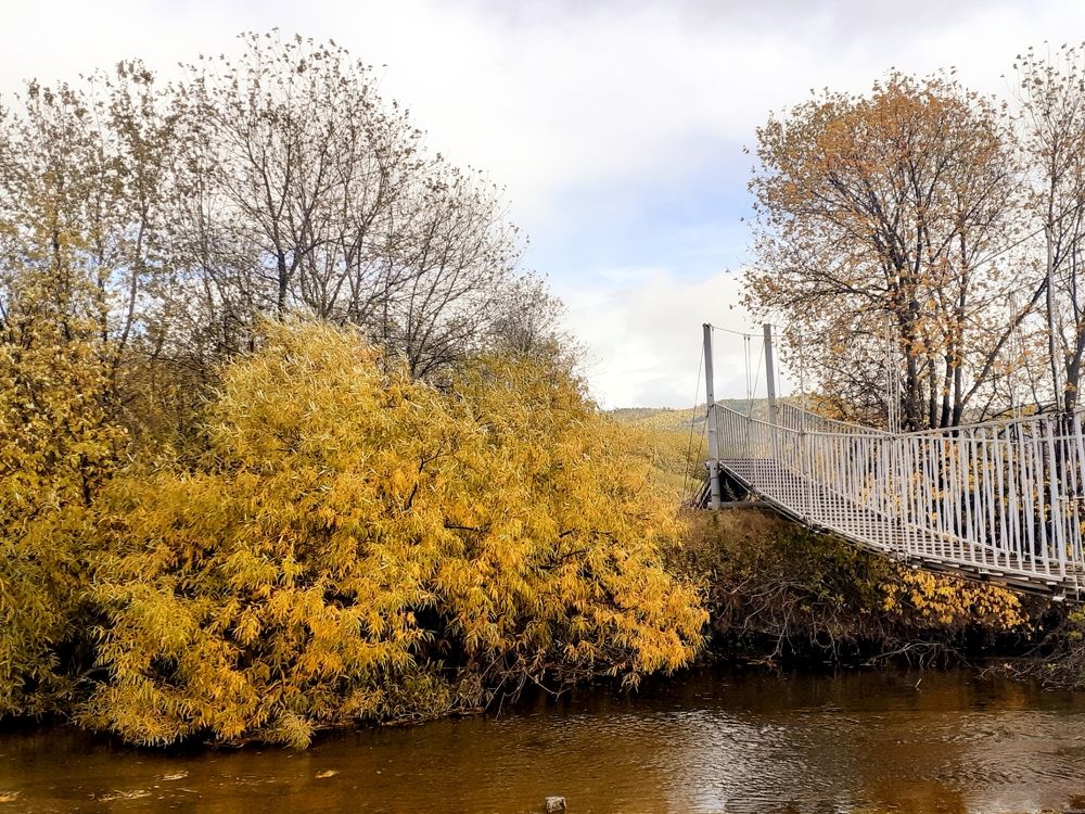 Photograph by Ирина Пичугина