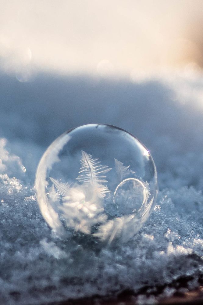 Photograph by Анна Рябцева