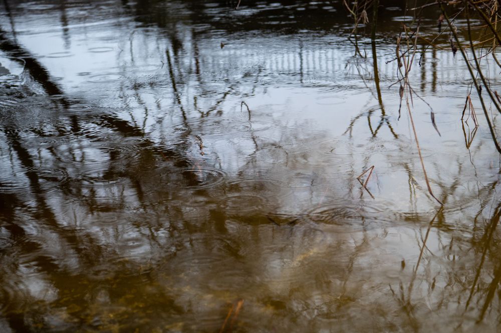 Photograph by Светлана Лебедева