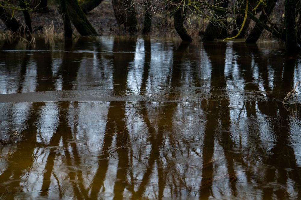 Photograph by Светлана Лебедева
