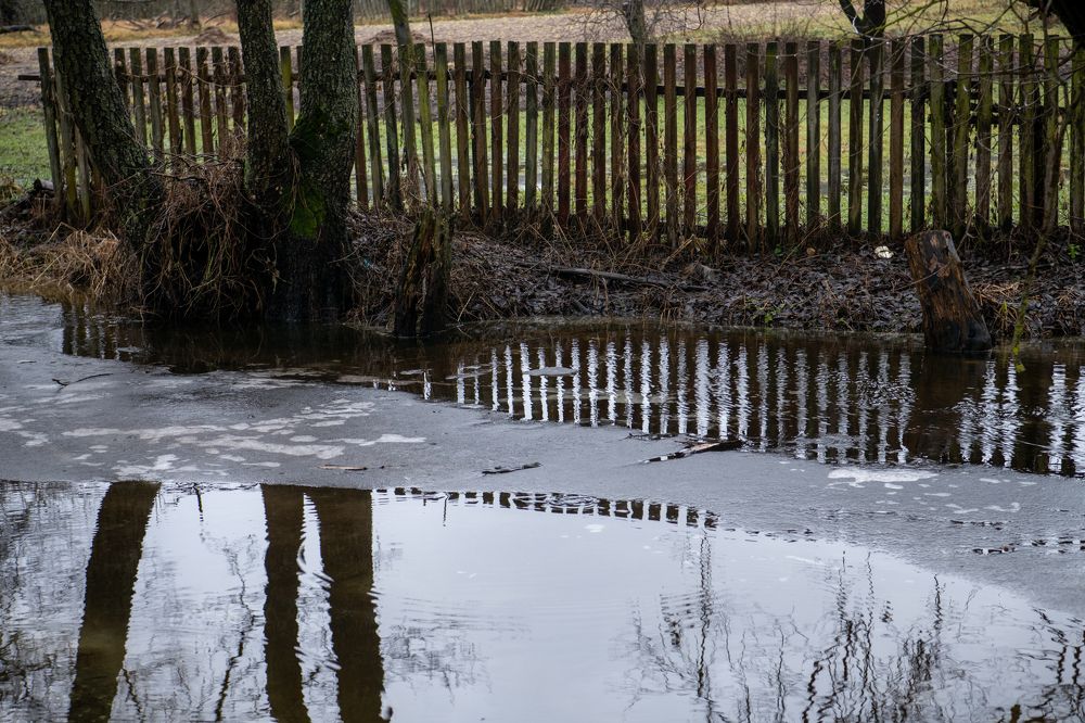 Photograph by Светлана Лебедева