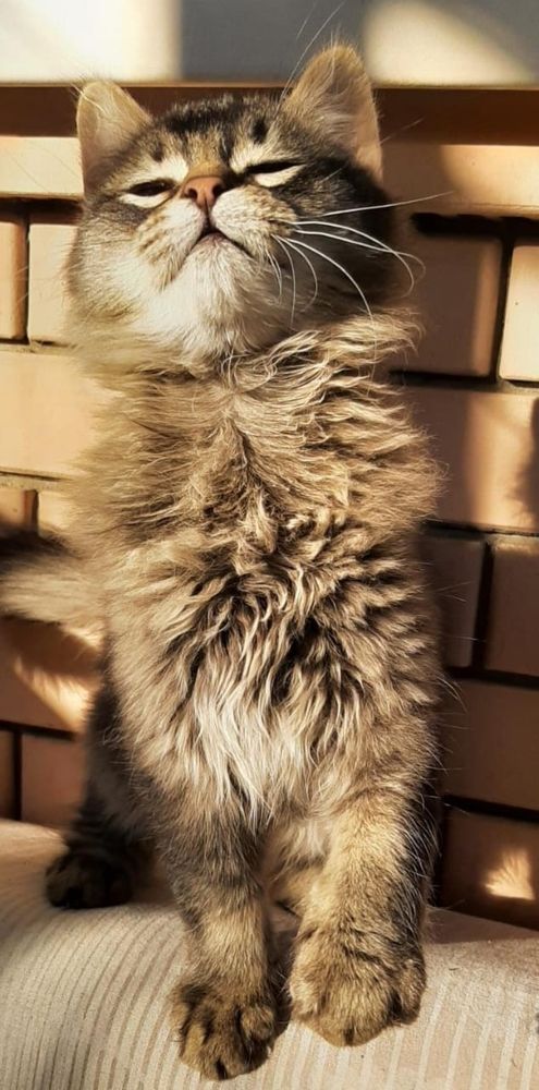 Фотография автора Михаил Лупина