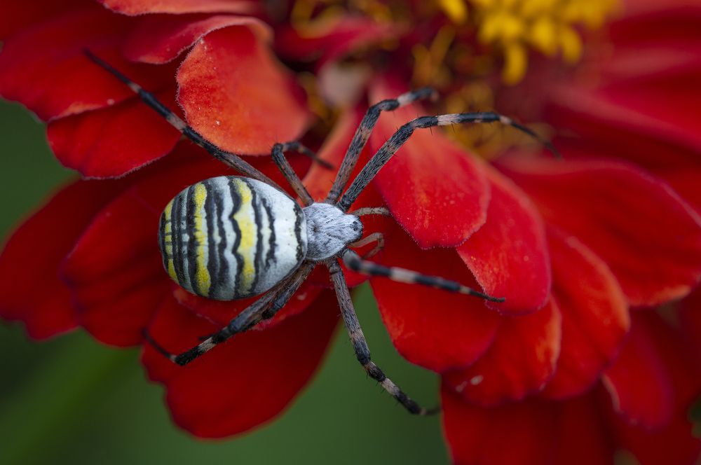 Photograph by Юрій Стороженко